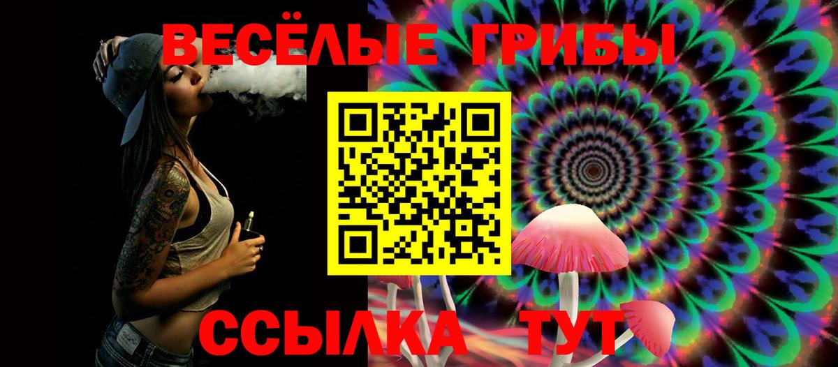 Псилоцибиновые грибы Magic Shrooms  Вход с VPN  Бугуруслан  Псилоцибиновые грибы Cubensis 