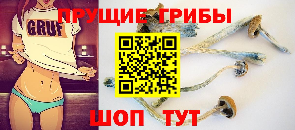 Галлюциногенные грибы Magic Shrooms Бугуруслан